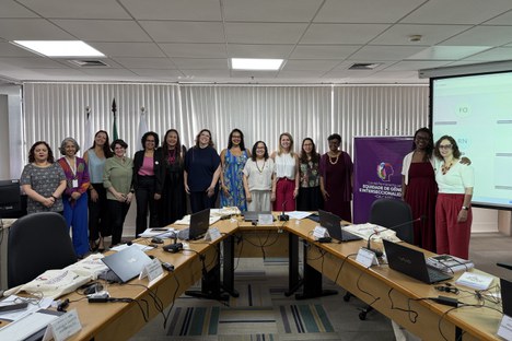 Imagem: Sexta reunião do Comitê de Equidade (Julia Prado - CGCOM/CAPES)