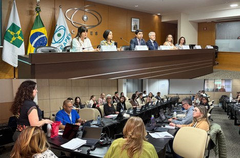 Imagem: Montagem das imagens das reuniões (Julia Prado - CGCOM/CAPES)