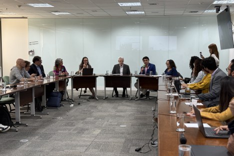 Imagem: Foto durante a reunião (Julia Prado - CGCOM/CAPES)