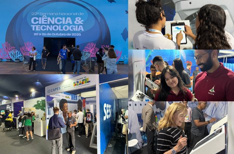 Imagem: Montagem (Julia Prado - CGCOM/CAPES)