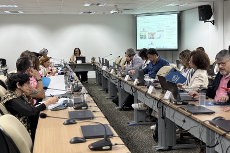 Imagem: 43ª reunião do CTC-EB (Julia Prado - CGCOM/CAPES)