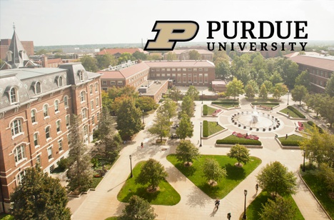 Imagem: Montagem (Divulgação)