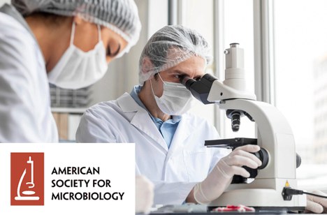 Imagem: Montagem da marca com uma imagem ilustrativa (Divulgação)