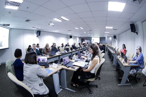 Imagem: Reunião nº 39 do Conselho Técnico Científico da Educação Básica - CTC-EB (Ester Cruz - CGCOM/CAPES)