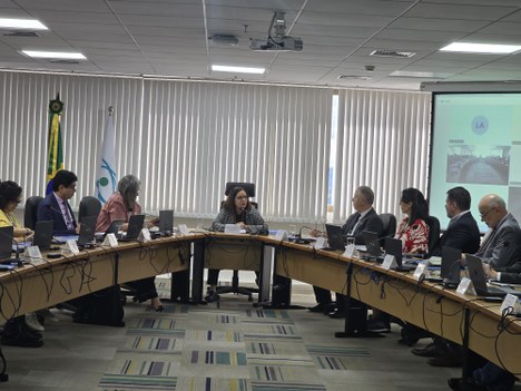 Imagem: Reunião da Comissão da Agenda Nacional (Isabela Pimentel - CGCOM/CAPES)