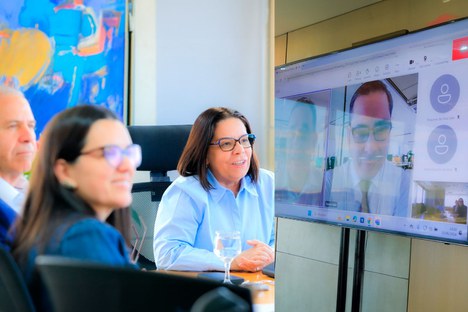 Imagem: Reunião entre a CAPES e Clarivate (Ester Cruz)