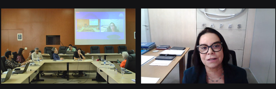 Imagem: Print da tela durante a reunião (Divulgação)