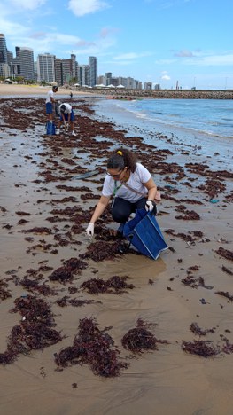 Imagem: Bolsista Wersângela Cunha Duaví (Arquivo pessoal)