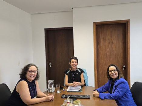 Imagem: CAPES se reúne com a UNIFESP (Imagem: Isabela Pimentel - CGCOM/CAPES)