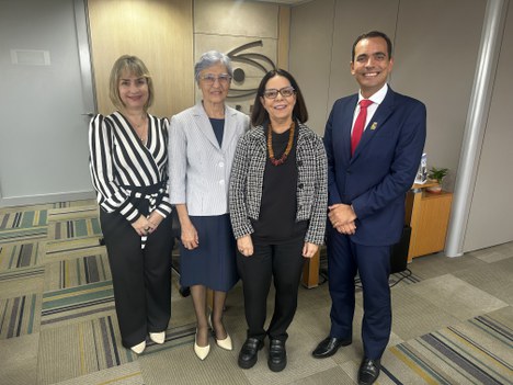 Imagem: Reunião CAPES e ANEC (Ana Paula Corrêa - CGCOM/CAPES)