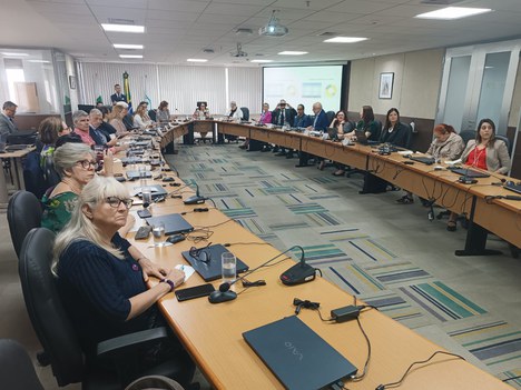 Imagem: CAPES recebeu delegação do governo e de universidades do Reino Unido (Guilherme Pera - CGCOM/CAPES)