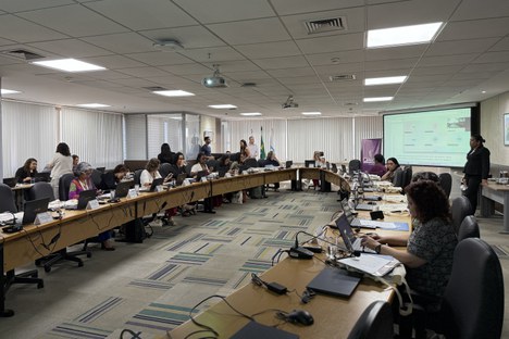 Imagem: Sexta reunião do Comitê de Equidade (Julia Prado - CGCOM/CAPES)