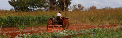 Trator em campo agrícola