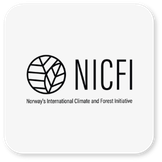logo-nicfi.png