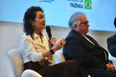 XII_Seminário_CARF_Ursula Peres.jpg