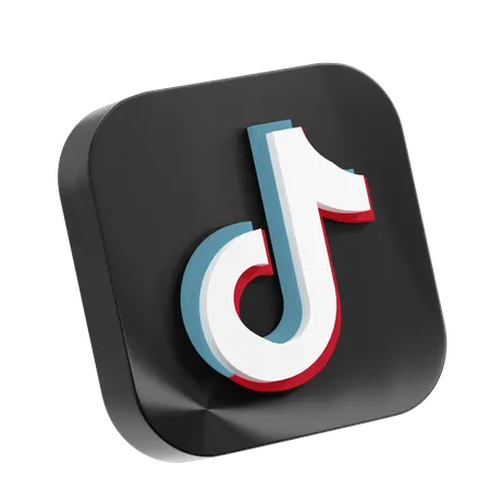 tiktok ds casa civil