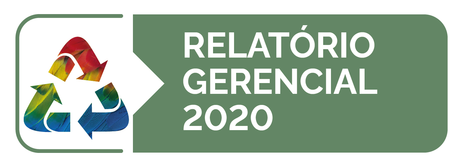 acesso ao relatório gerencial do PLS de 2020