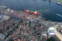 Leilão: arrematados dois terminais de celulose do Porto de Santos, na primeira concessão da carteira do Pró-Brasil