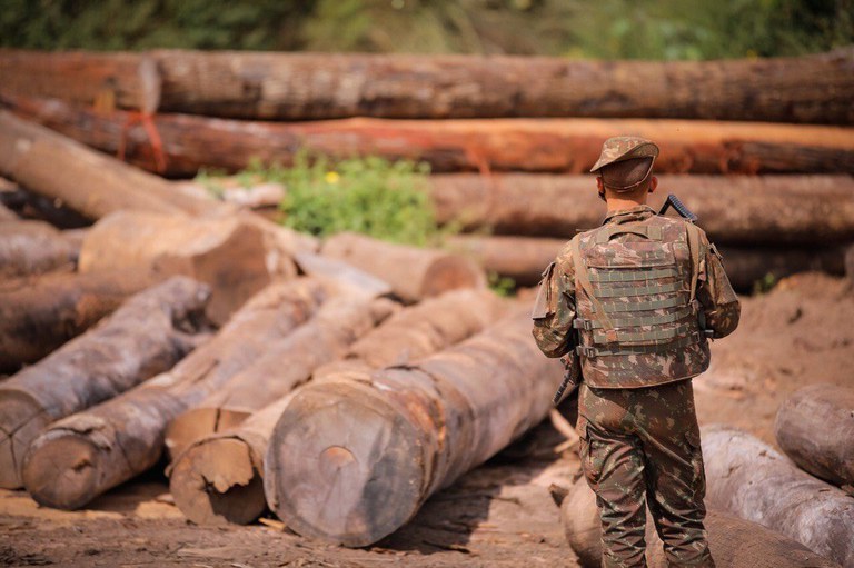 Avisos de desmatamento na Amazônia legal tem redução de 45% em novembro
