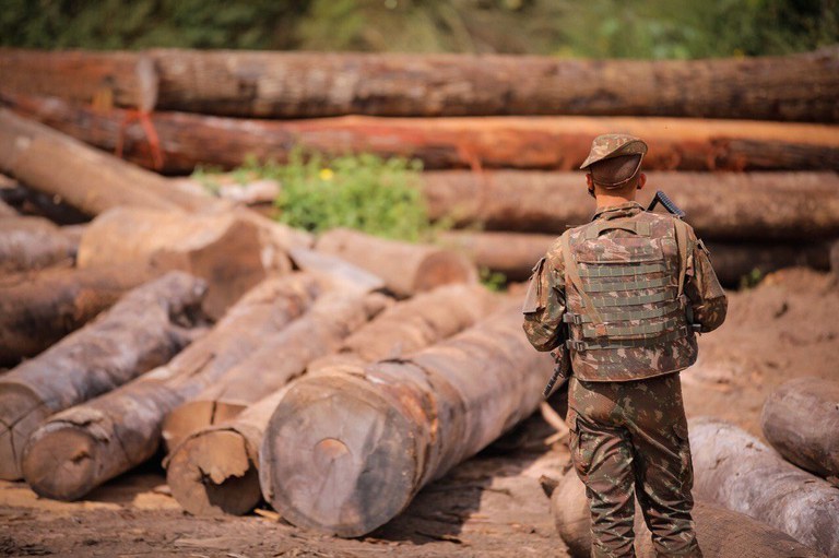 Avisos de desmatamento na Amazônia legal tem redução de 45% em novembro