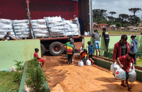 Entregues mais de cinco mil cestas básicas e kits de higiene para comunidades indígenas do Paraná