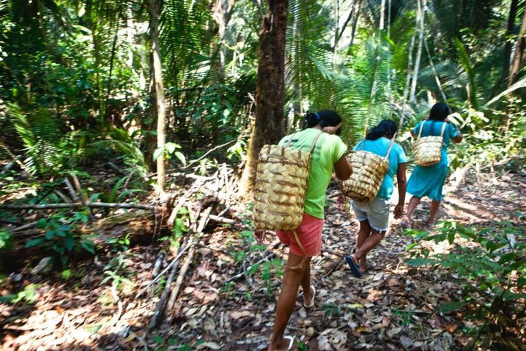 R$ 39 milhões para atendimento de saúde de povos e comunidades tradicionais