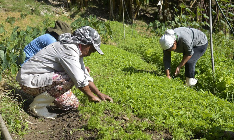 Pátria Voluntária fortalece pequenos agricultores