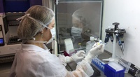 Enfrentamento ao coronavírus: Laboratórios públicos ampliam em 451% capacidade de testagem para Covid-19