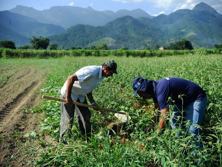 Programa de Aquisição de Alimentos