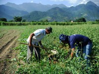 Garantia de recursos: Programa de Aquisição de Alimentos recebe R$ 10 milhões por meio de emendas parlamentares