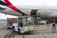 Brasil recebe 500 mil kits de testes rápidos para detecção de coronavírus