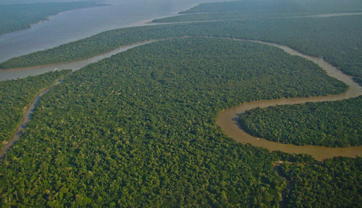 Conheça algumas as ações do Governo Federal para cuidar da Amazônia