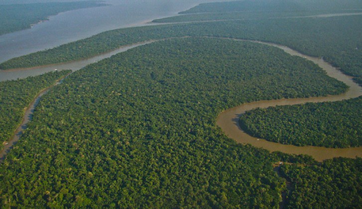 Sustentabilidade com o Google: ajudando a preservar a Amazônia e a