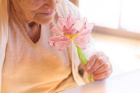 1º de outubro: Dia Internacional da Pessoa Idosa