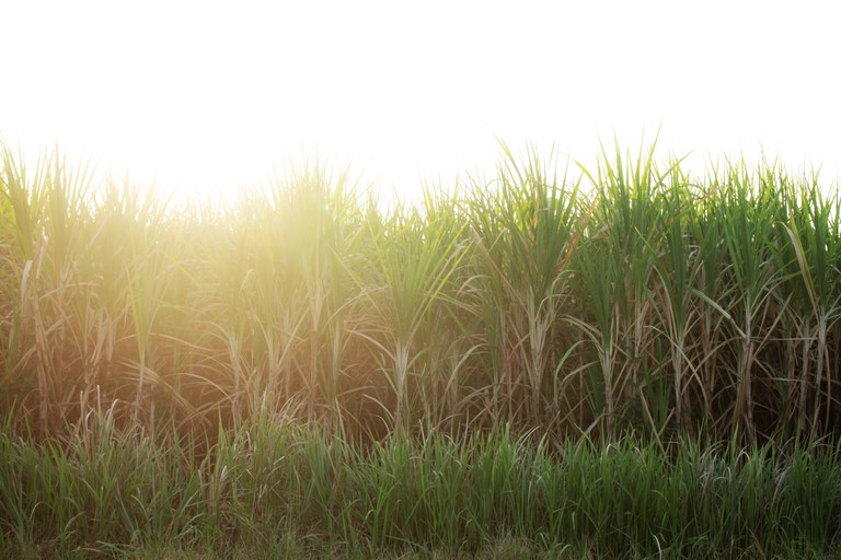 Governo Federal investe em produção sustentável de geração de energia elétrica