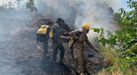 Focos de incêndio na Floresta Nacional e em terras indígenas são combatidos pelas Forças Armadas