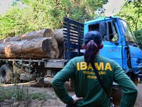 Sistema antifraude para combater desmatamento é lançado pelo Governo Federal