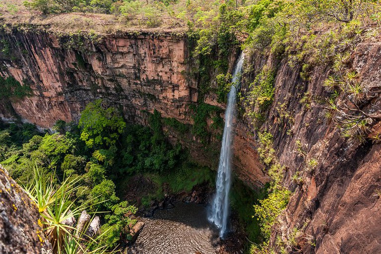 Unidades de conservação no Programa Nacional de Desestatização