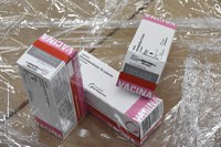 Superada a previsão de entregas da vacina Covid-19 pela Fiocruz