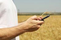 Comunidades rurais do Mato Grosso do Sul recebem internet com conexão via satélite