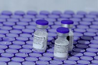 Confira os últimos números sobre as entregas de vacinas contra a Covid-19 no Brasil