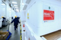 Em dez dias, Governo Federal distribuiu mais de 20 milhões de doses de vacina contra a Covid-19