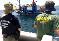 Editais para contratação de 739 novos servidores para o Ibama e ICMBio são publicados