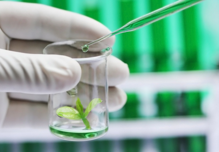 Bioeconomia