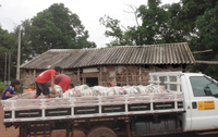 Funai inicia entrega de 900 cestas básicas para aldeias Xavante, no Mato Grosso