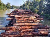 Operação Verde Brasil 2 já aplicou mais de R$3,33 bilhões em multas