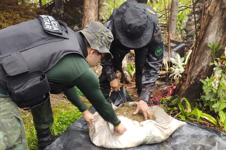 Operações de fiscalização combatem crimes ambientais no Maranhão