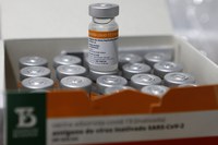 Brasil recebe mais 800 mil doses de vacina Covid-19 Coronavac