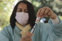 Plano Nacional de Imunização recebe mais de 3,5 milhões de doses de vacina contra a Covid-19