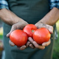 Governo Federal garante alimentação saudável nas escolas